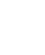 apple icon